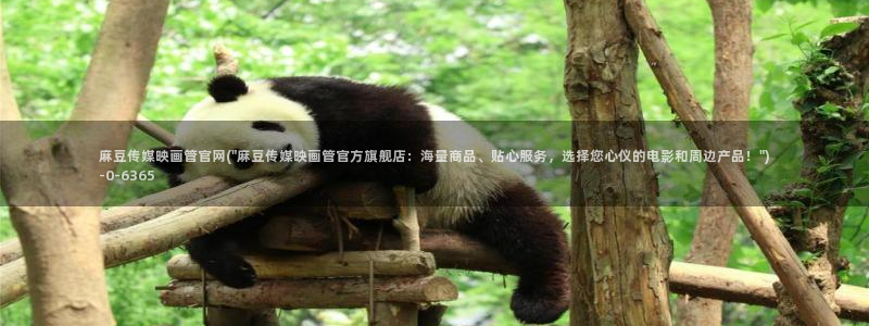 麻豆传媒官网在线免费：麻豆传媒映画管官网(\