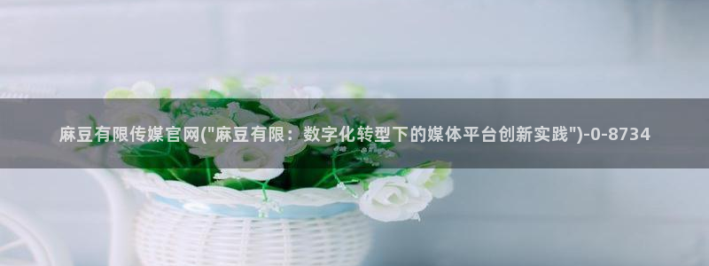麻豆村麻豆官网传媒：麻豆有限传媒官网(\