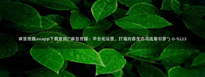 麻豆传媒换官网：麻豆传媒avapp下载官网(\