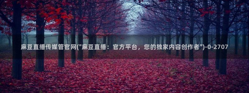 麻豆传媒官网电脑版：麻豆直播传媒管官网(\
