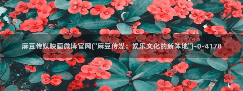 麻豆传媒直播官网免费：麻豆传媒映画微博官网(\