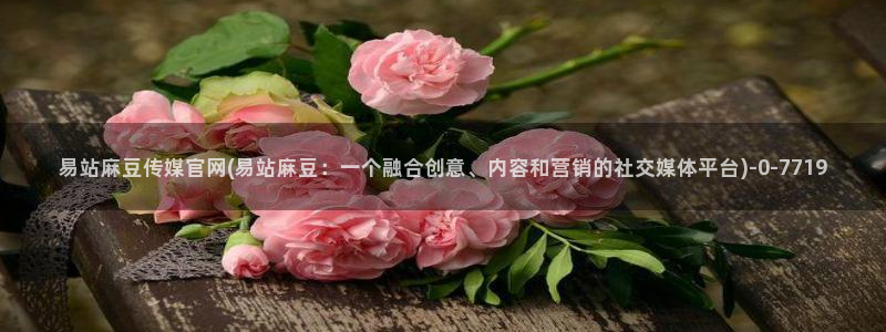 麻豆传媒 官网：易站麻豆传媒官网(易站麻豆：一个融合创意、内容和营销的社交媒体平台)