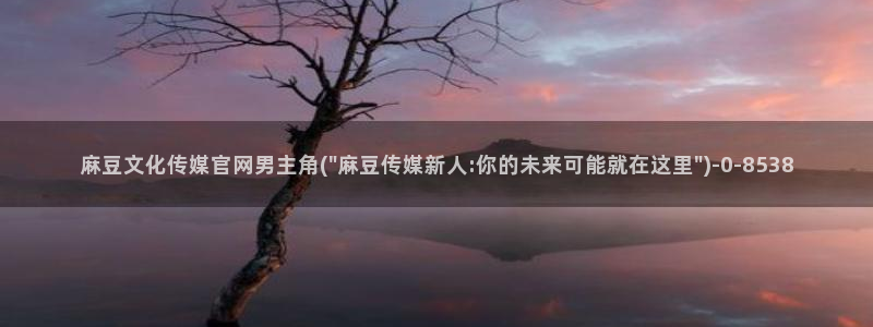 麻豆传媒自制官网：麻豆文化传媒官网男主角(\