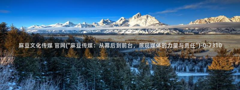 91麻豆传媒官网：麻豆文化传媒 官网(\