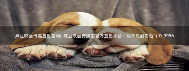 麻豆音画传媒官网：麻豆映画传媒直播官网(\