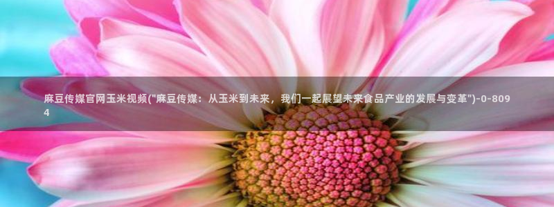 麻豆传媒社区官网APP